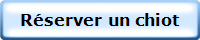 Rserver un chiot